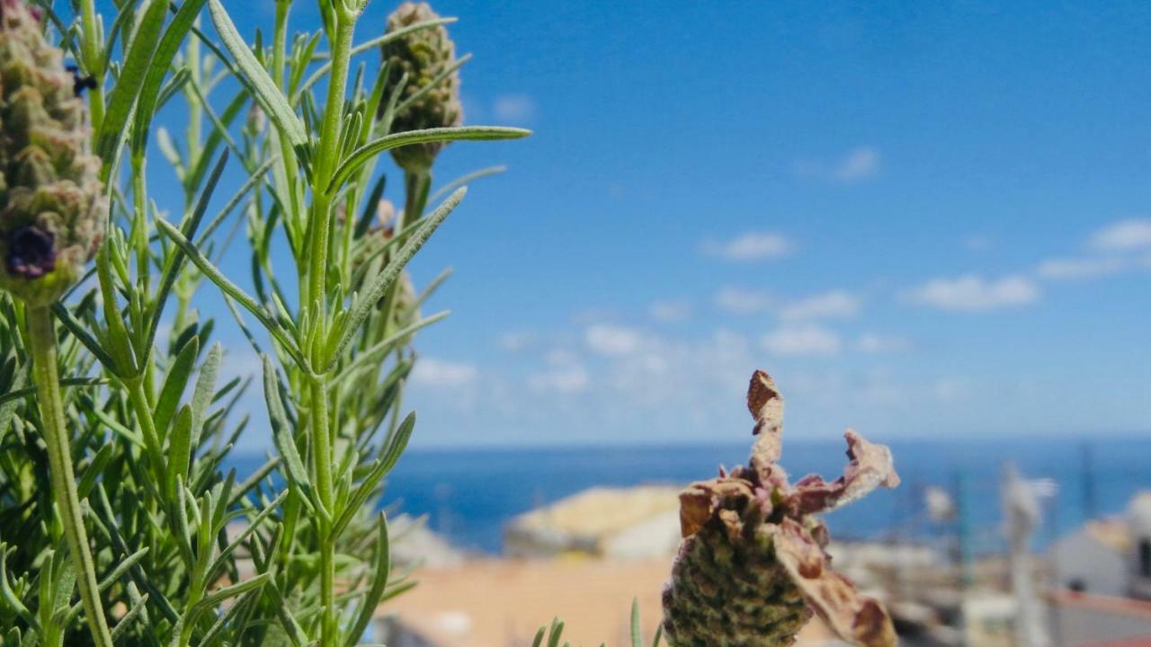 Home Holiday Sicily Isola delle Femmine Zewnętrze zdjęcie